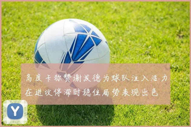 乌度卡称赞谢泼德为球队注入活力在进攻停滞时稳住局势表现出色