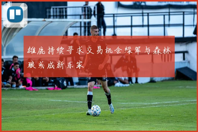 雄鹿持续寻求交易机会绿军与森林狼或成新东家