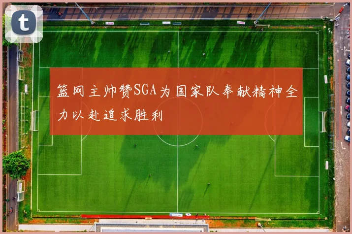 篮网主帅赞SGA为国家队奉献精神全力以赴追求胜利