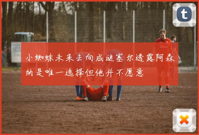 小蜘蛛未来去向成谜塞尔透露阿森纳是唯一选择但他并不愿意